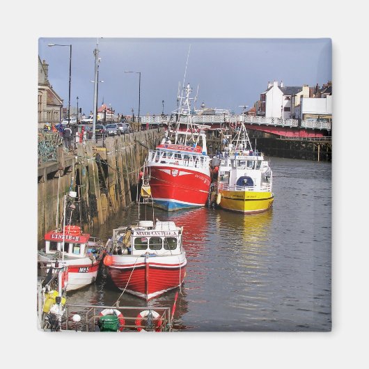 イギリスの見解 マグネット (正面)