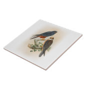 イギリスの趣味の《鳥》ハヤブサのGouldのオレンジ脚の鳥 タイル (側面)