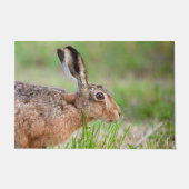 イギリスの野生の野食べウサギは、の草を閉じる ドアマット (正面)