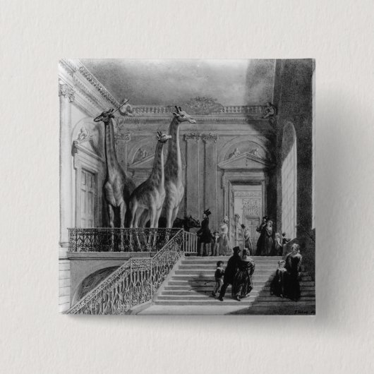 イギリスの階段のキリン 缶バッジ (正面)