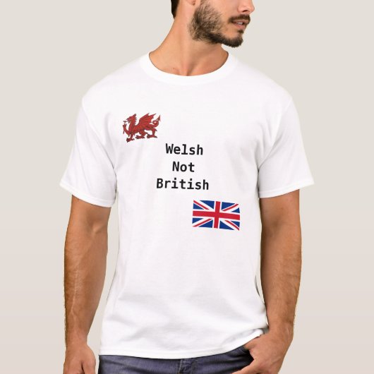 イギリスウェールズ Tシャツ (正面)