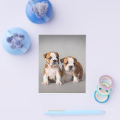 イギリスブルドッグの子犬 | かわいいブルドッグのペア チラシ (シングル)