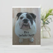 イギリスブルドッグ クールな独身パーティーの招待状 招待状 (スタンド正面)