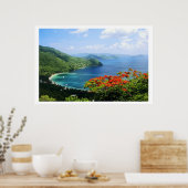 イギリスヴァージンアイレスのポスター ポスター (キッチン)