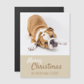 イギリス人ブルドッグの子犬の写真 クリスマスマグネットカード (正面/裏面)