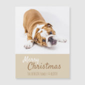 イギリス人ブルドッグの子犬の写真 クリスマスマグネットカード (正面)