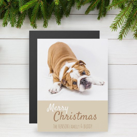 イギリス人ブルドッグの子犬の写真 クリスマスマグネットカード