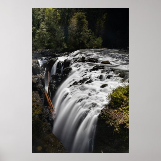 イギリス人秋ズブリティッシュコロンビア ポスター (正面)