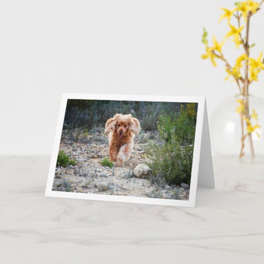 イギリス原産のコッカースパニエルが地方で走る カード (黄色い花)