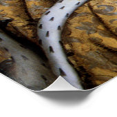 イギリス女王エリザベス・チューダー ポスター (コーナー)