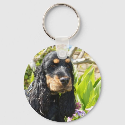 イギリス式コッカースパニエル犬ブラックとタン キーホルダー (正面)