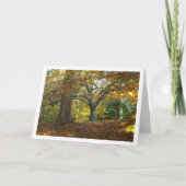 イギリス田園風景の森の風景 カード (正面)