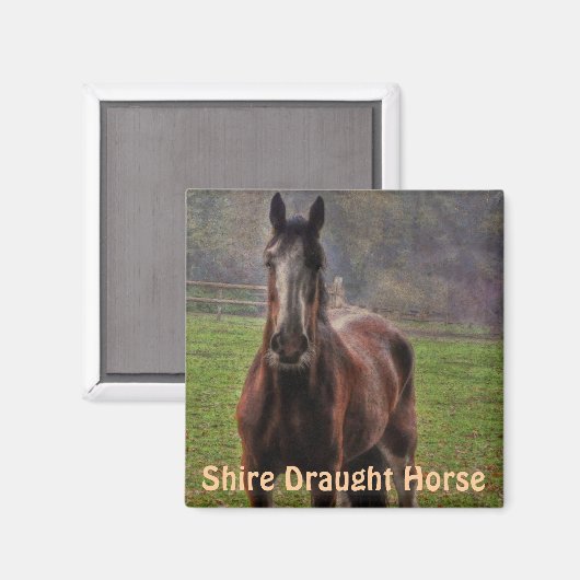 イギリス荷車を引くハンプシャー州シャーホース マグネット (正面/裏面)