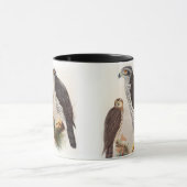イギリス野性生物のオオタカのジョンGouldの鳥 マグカップ (中央)