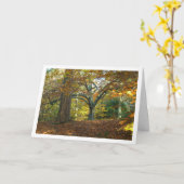 イギリス風の森の風景 カード (黄色い花)