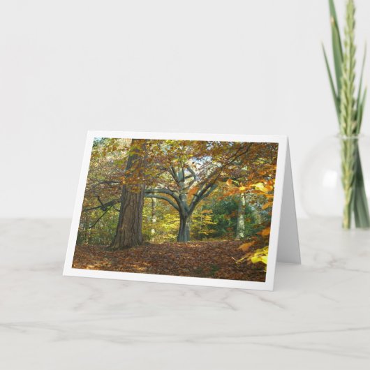 イギリス風田園森林風景 カード (正面)