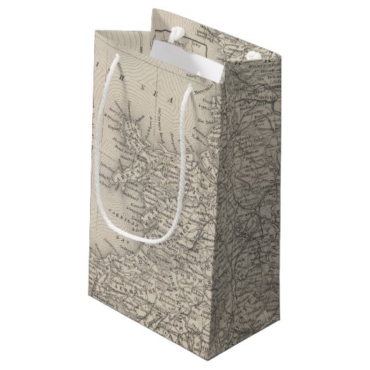 イギリス10 スモールペーパーバッグ (裏面アングル)