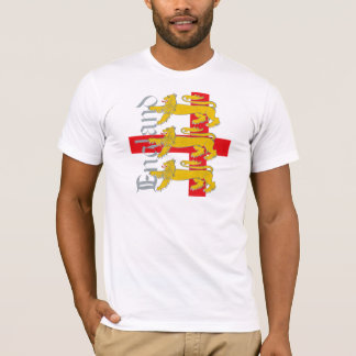 イギリス2010年 Tシャツ