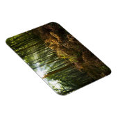 イギリス、イギリス。通り抜ける日光 マグネット (右側)