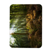 イギリス、イギリス。通り抜ける日光 マグネット (縦)