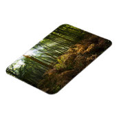 イギリス、イギリス。通り抜ける日光 マグネット (左側)