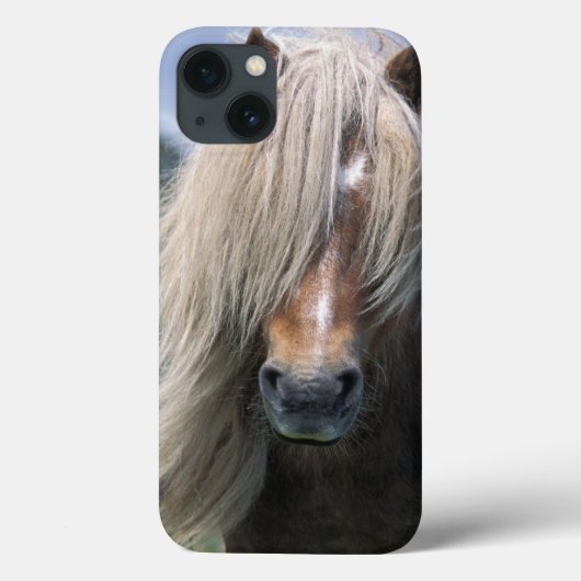 イギリス、スコットランドのシェトランド諸島島、シェトランド諸島の子馬 Case-Mate iPhoneケース (裏面)