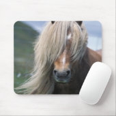 イギリス、スコットランド、シェットランド諸島、シェットランドポニー マウスパッド (マウス)