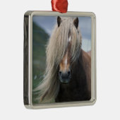 イギリス、スコットランド、シェットランド諸島、シェットランドポニー メタルオーナメント (右)