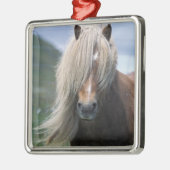 イギリス、スコットランド、シェットランド諸島、シェットランドポニー メタルオーナメント (左)