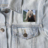 イギリス、スコットランド、シェットランド諸島、シェットランドポニー 缶バッジ (インサイチュ)