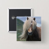 イギリス、スコットランド、シェットランド諸島、シェットランドポニー 缶バッジ (正面&裏面)