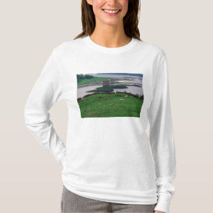 イギリス, スコットランド, スカイ島, 古い Tシャツ