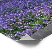 イギリス，ブルーベル・ウッズ ポスター (角)