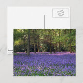 イギリス，ブルーベル・ウッズ ポストカード (正面/裏面)