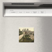 イギリス，ヨークシャー，ヨークI マグネット (インサイチュ (食洗機))