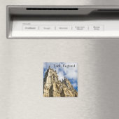 イギリス，ヨーク マグネット (インサイチュ (食洗機))