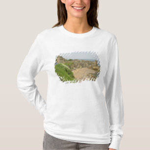 イギリス, 連合王国, スコットランド, セント Tシャツ