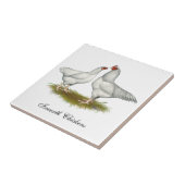 イクワース鶏 タイル (側面)