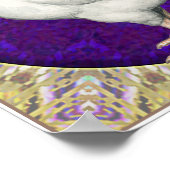 イクワース・ルースター ポスター (角)