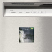 イグアス秋ズカタラタスデイグアス磁石 マグネット (インサイチュ (食洗機))