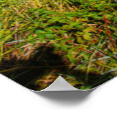 イグアス秋国立公園,アルゼンチン ポスター (角)