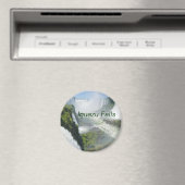 イグアス秋磁石 マグネット (インサイチュ (食洗機))