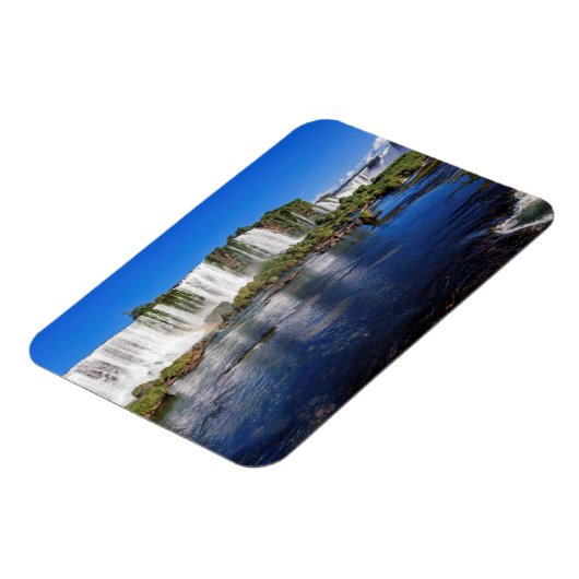 イグアス秋(カタラタドイグアス) マグネット (左側)