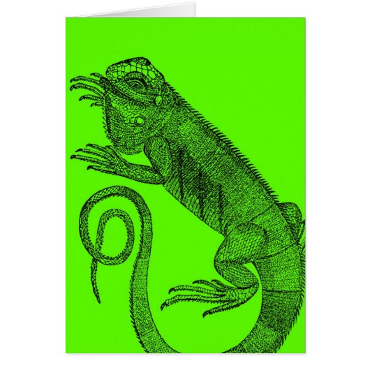 イグアナしたい (正面)