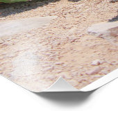 イグアナとターコイズ海 フォトプリント            (角)