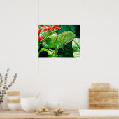 イグアナのアート飾の壁。 ポスター (キッチン)