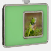 イグアナのクリスマスオーナメント シルバープレートフレームオーナメント (右)