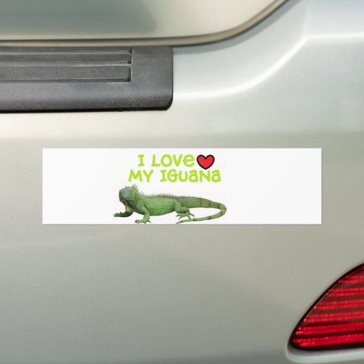 イグアナのバンパーステッカー"私は愛します私のイグアナ"を バンパーステッカー (車上)