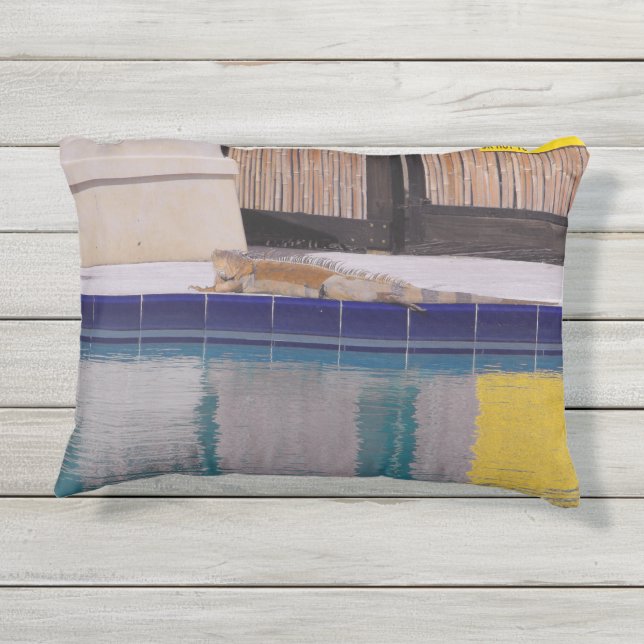 イグアナのプール アウトドアクッション (裏面)