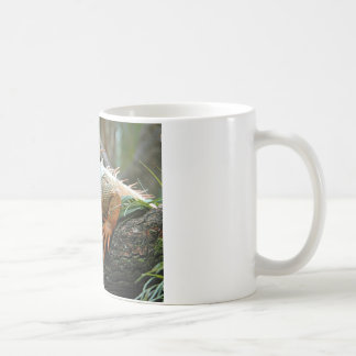 イグアナのマグ コーヒーマグカップ